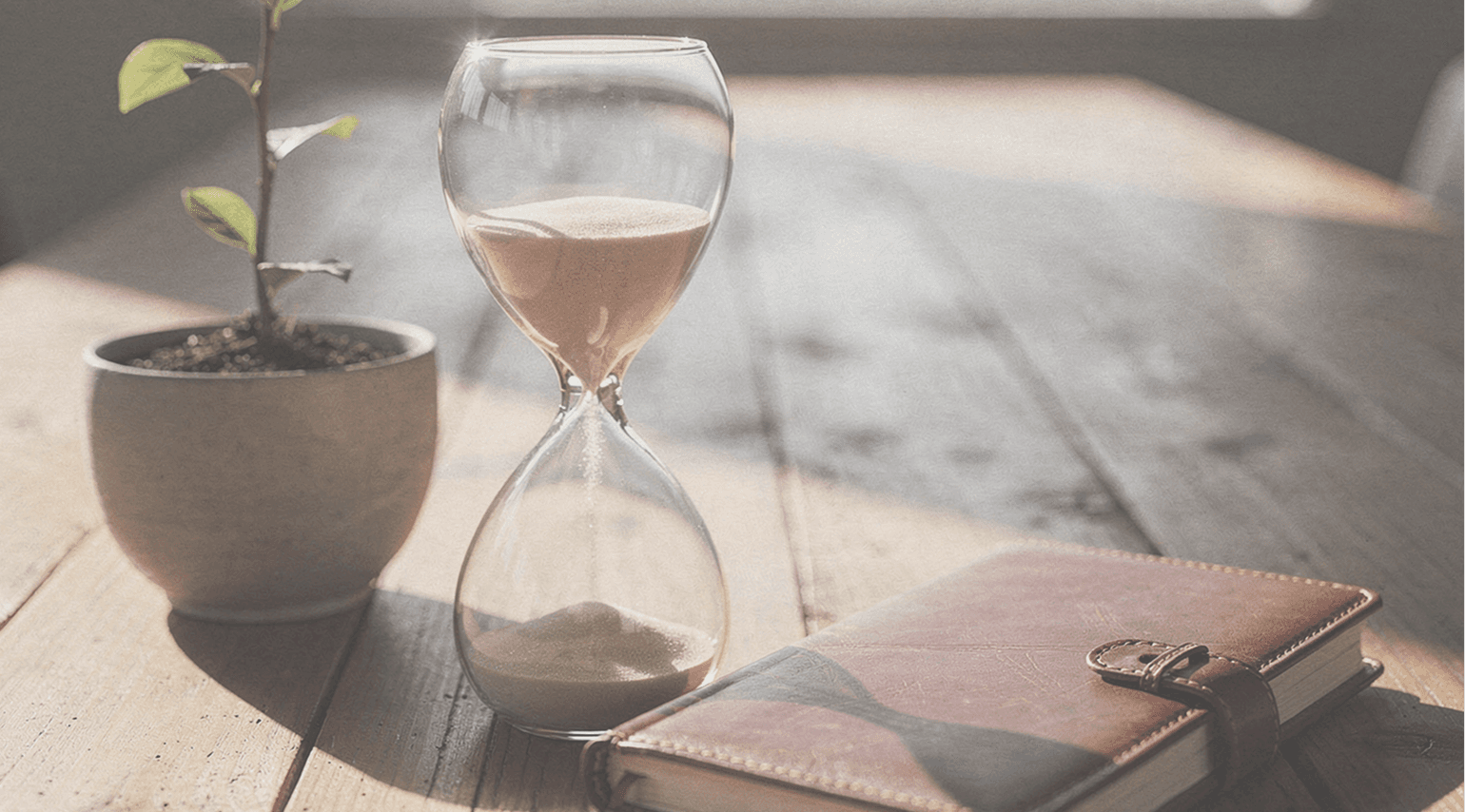 Transitional Business